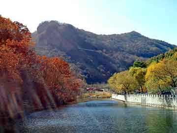 澳门天天好好免费资料，鸽子养殖前景